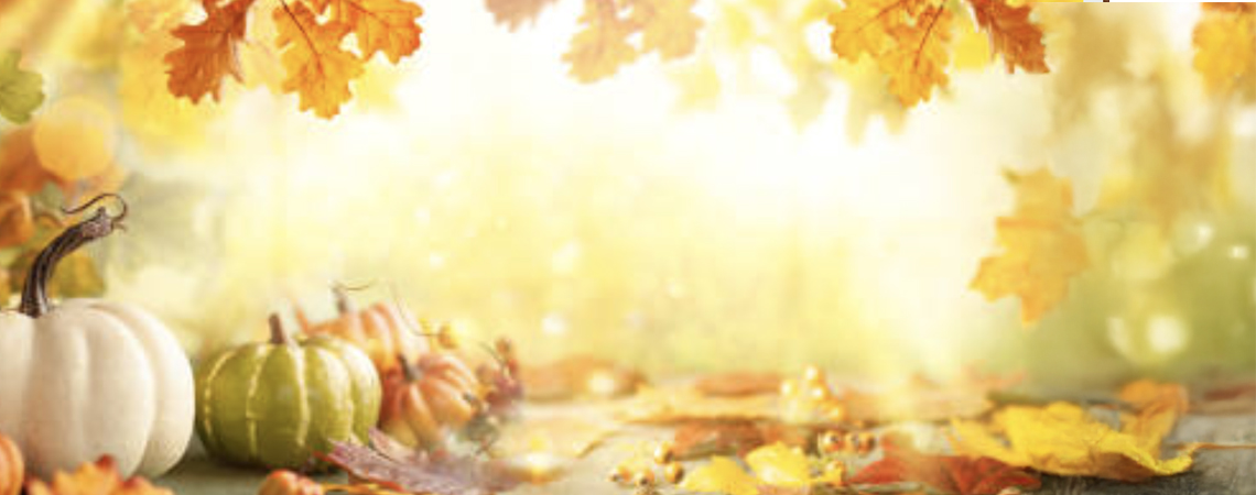 تعميم عطلة رسمية في البلد المضيف